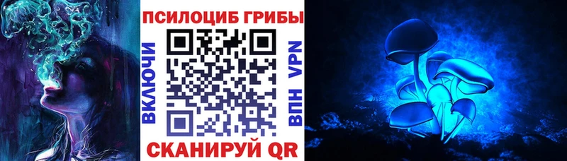 Купить закладки  Энем  Псилоцибиновые грибы прущие грибы 