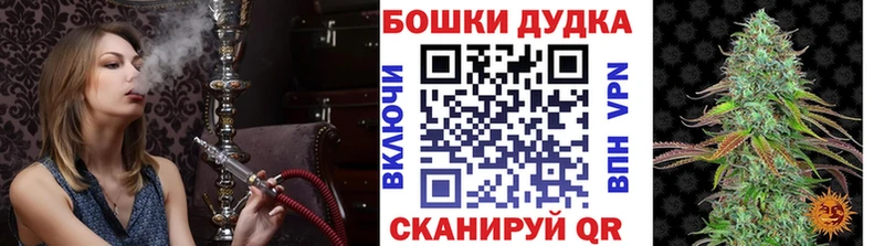 Купить закладки  Энем  Конопля семена 